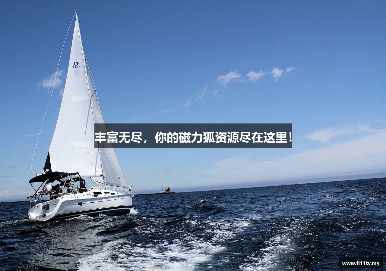 丰富无尽,你的磁力狐资源尽在这里!